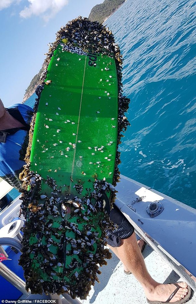 然后16个月后，渔民特洛伊（Troy）和博布雷德（Beau Breed）在昆士兰州北海岸附近的汤斯维尔附近的水中发现了一块木板，该木板板与遗失之处相距3000多公里