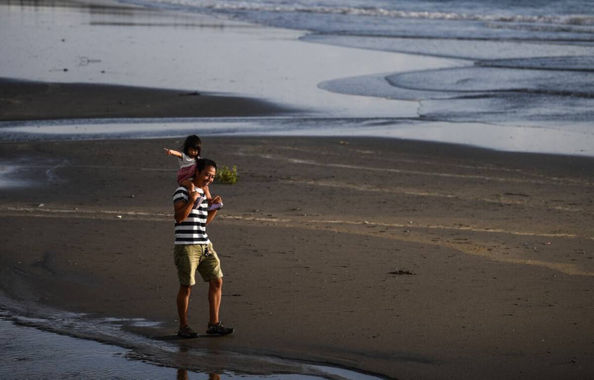 一个父亲和他的孩子在海滩上（说明性图像）。
